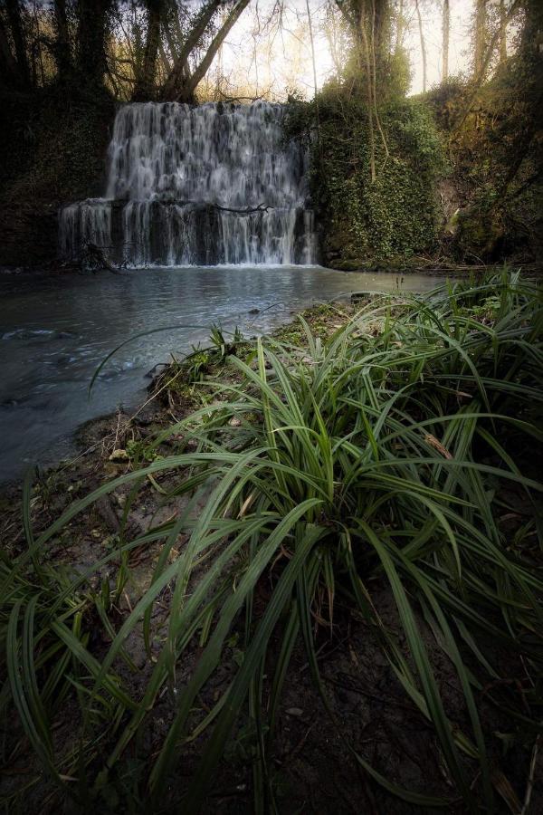 Il Molinaccio Al Rio Chiaro Villa Civitella d'Agliano Bagian luar foto