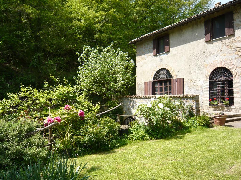 Il Molinaccio Al Rio Chiaro Villa Civitella d'Agliano Bagian luar foto