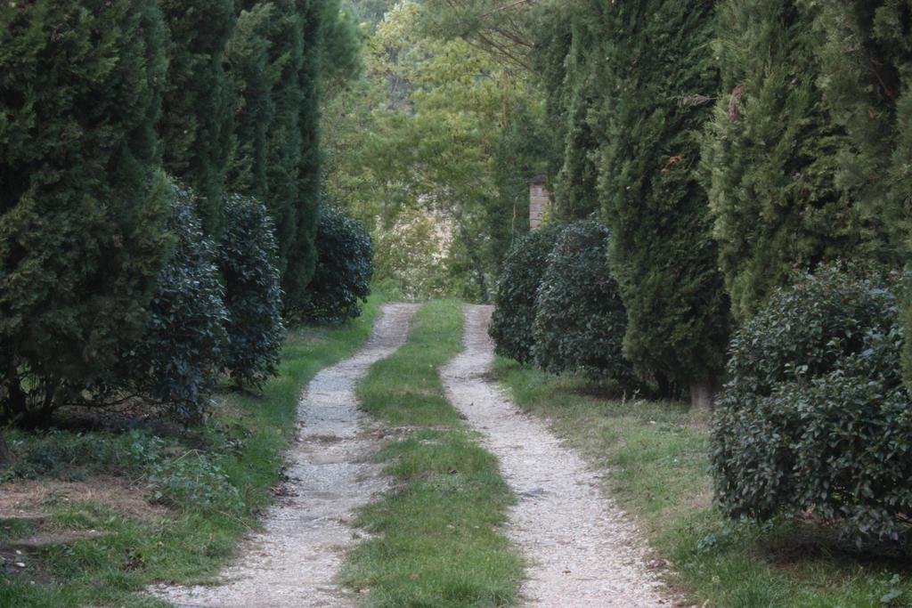 Il Molinaccio Al Rio Chiaro Villa Civitella d'Agliano Bagian luar foto