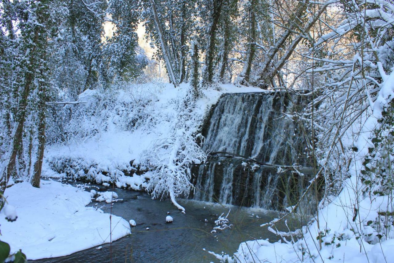 Il Molinaccio Al Rio Chiaro Villa Civitella d'Agliano Bagian luar foto